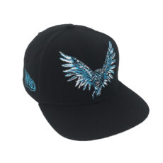 Snapbacks